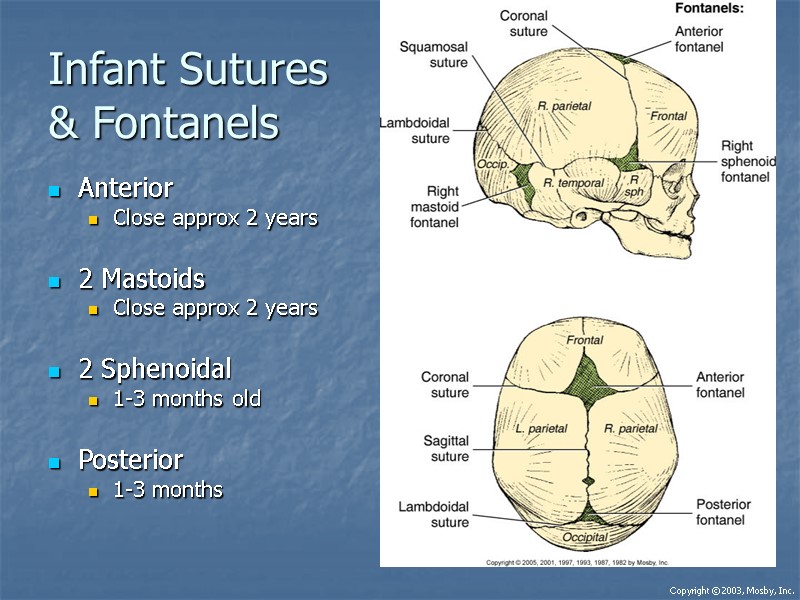 Infant Sutures & Fontanels Anterior Close approx 2 years  2 Mastoids Close approx